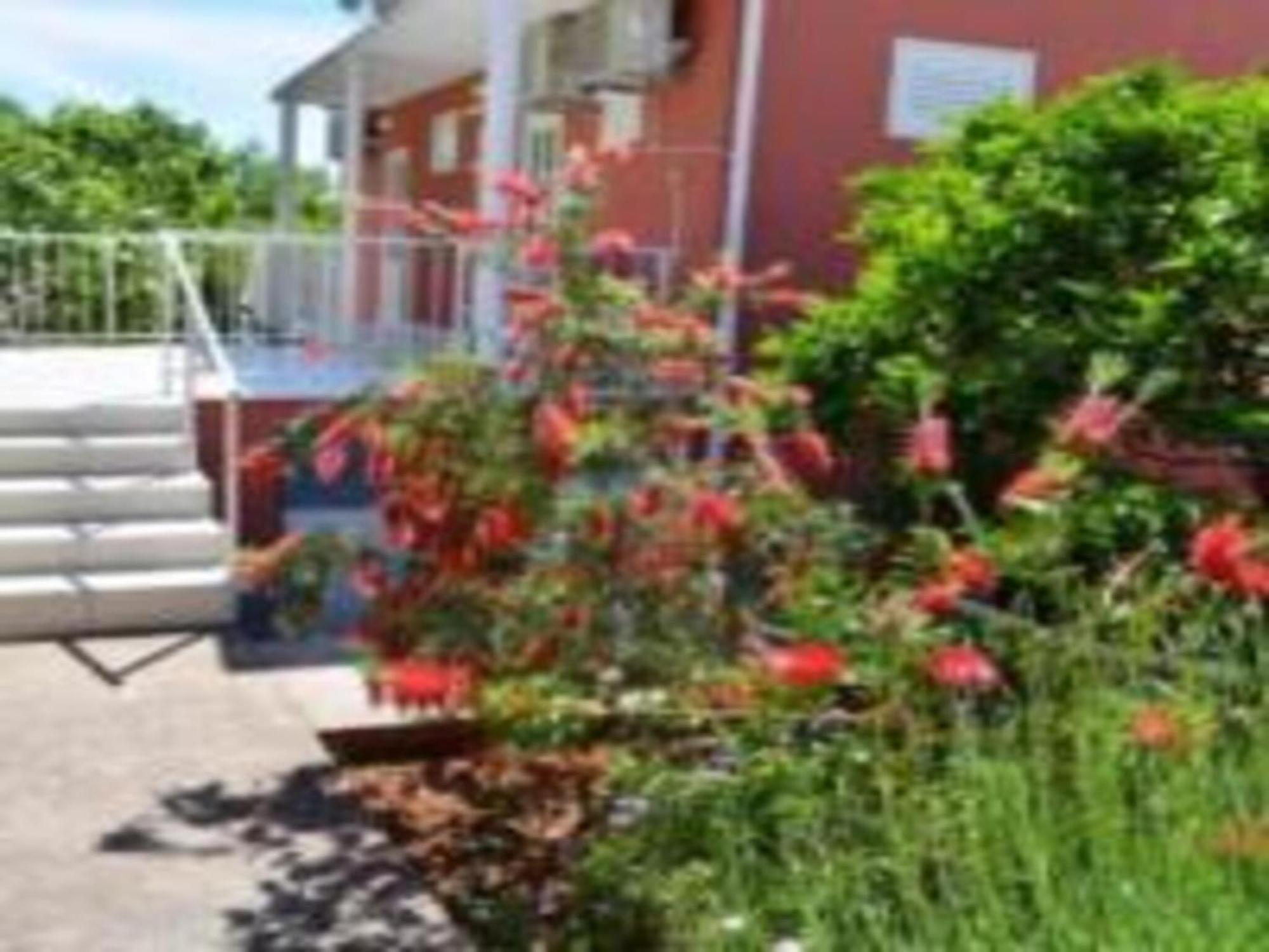 Bleus Apartments Brna Exterior photo